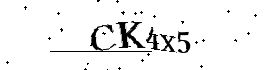 Bitte geben Sie die gezeigten Buchstaben und Zahlen ein