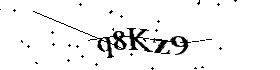 Bitte geben Sie die gezeigten Buchstaben und Zahlen ein
