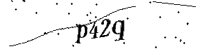 Bitte geben Sie die gezeigten Buchstaben und Zahlen ein