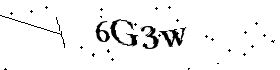 Bitte geben Sie die gezeigten Buchstaben und Zahlen ein