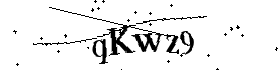 Bitte geben Sie die gezeigten Buchstaben und Zahlen ein