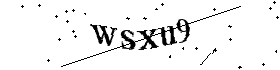 Bitte geben Sie die gezeigten Buchstaben und Zahlen ein