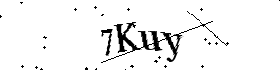 Bitte geben Sie die gezeigten Buchstaben und Zahlen ein