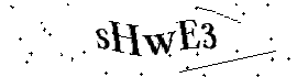 Bitte geben Sie die gezeigten Buchstaben und Zahlen ein
