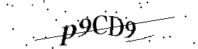 Bitte geben Sie die gezeigten Buchstaben und Zahlen ein
