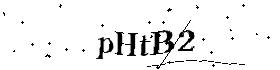 Bitte geben Sie die gezeigten Buchstaben und Zahlen ein