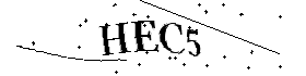 Bitte geben Sie die gezeigten Buchstaben und Zahlen ein