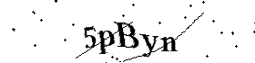 Bitte geben Sie die gezeigten Buchstaben und Zahlen ein