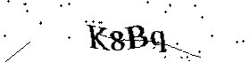Bitte geben Sie die gezeigten Buchstaben und Zahlen ein