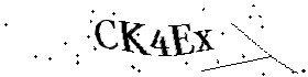 Bitte geben Sie die gezeigten Buchstaben und Zahlen ein