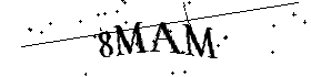 Bitte geben Sie die gezeigten Buchstaben und Zahlen ein