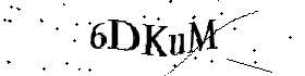 Bitte geben Sie die gezeigten Buchstaben und Zahlen ein