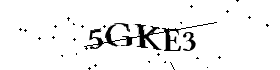 Bitte geben Sie die gezeigten Buchstaben und Zahlen ein