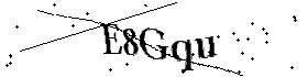 Bitte geben Sie die gezeigten Buchstaben und Zahlen ein