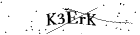 Bitte geben Sie die gezeigten Buchstaben und Zahlen ein
