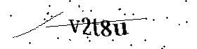 Bitte geben Sie die gezeigten Buchstaben und Zahlen ein
