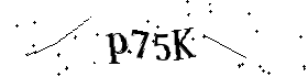 Bitte geben Sie die gezeigten Buchstaben und Zahlen ein