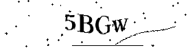 Bitte geben Sie die gezeigten Buchstaben und Zahlen ein