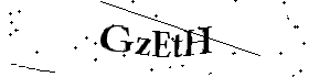 Bitte geben Sie die gezeigten Buchstaben und Zahlen ein