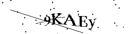 Bitte geben Sie die gezeigten Buchstaben und Zahlen ein