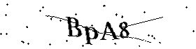 Bitte geben Sie die gezeigten Buchstaben und Zahlen ein