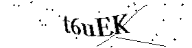 Bitte geben Sie die gezeigten Buchstaben und Zahlen ein