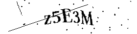 Bitte geben Sie die gezeigten Buchstaben und Zahlen ein