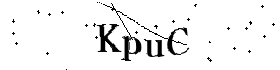Bitte geben Sie die gezeigten Buchstaben und Zahlen ein