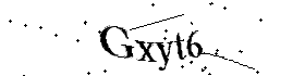 Bitte geben Sie die gezeigten Buchstaben und Zahlen ein