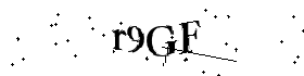 Bitte geben Sie die gezeigten Buchstaben und Zahlen ein