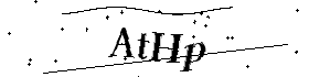 Bitte geben Sie die gezeigten Buchstaben und Zahlen ein