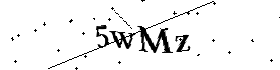 Bitte geben Sie die gezeigten Buchstaben und Zahlen ein