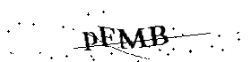 Bitte geben Sie die gezeigten Buchstaben und Zahlen ein