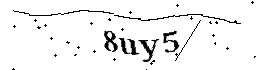 Bitte geben Sie die gezeigten Buchstaben und Zahlen ein