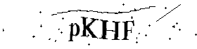 Bitte geben Sie die gezeigten Buchstaben und Zahlen ein