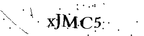 Bitte geben Sie die gezeigten Buchstaben und Zahlen ein