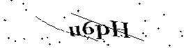 Bitte geben Sie die gezeigten Buchstaben und Zahlen ein