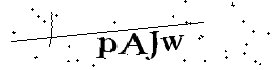 Bitte geben Sie die gezeigten Buchstaben und Zahlen ein