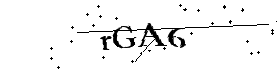 Bitte geben Sie die gezeigten Buchstaben und Zahlen ein