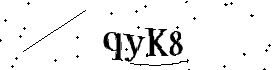 Bitte geben Sie die gezeigten Buchstaben und Zahlen ein