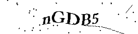 Bitte geben Sie die gezeigten Buchstaben und Zahlen ein