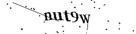 Bitte geben Sie die gezeigten Buchstaben und Zahlen ein