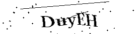 Bitte geben Sie die gezeigten Buchstaben und Zahlen ein