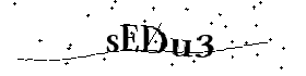 Bitte geben Sie die gezeigten Buchstaben und Zahlen ein