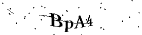 Bitte geben Sie die gezeigten Buchstaben und Zahlen ein