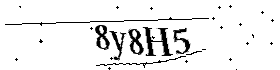 Bitte geben Sie die gezeigten Buchstaben und Zahlen ein