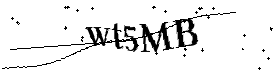 Bitte geben Sie die gezeigten Buchstaben und Zahlen ein