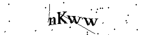 Bitte geben Sie die gezeigten Buchstaben und Zahlen ein