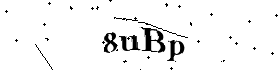 Bitte geben Sie die gezeigten Buchstaben und Zahlen ein
