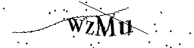 Bitte geben Sie die gezeigten Buchstaben und Zahlen ein